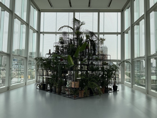 Exhibition view   Plateaus (2014) is part of a set of installations about which Johnson recently remarked: “In a way, that body of work has always lived with me: the books you find inside of it, th...